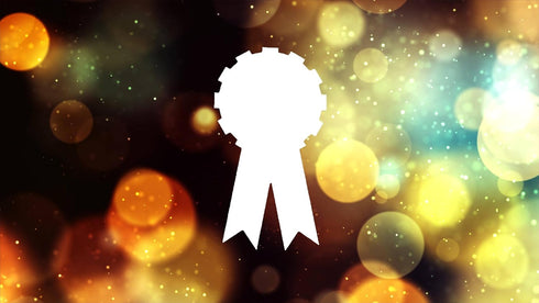 Award Ribbon Style Design Stencil, 4-Inch, Reusable Mylar Cutout, Perfect for Sign Art, Crafts & DIY Projects...