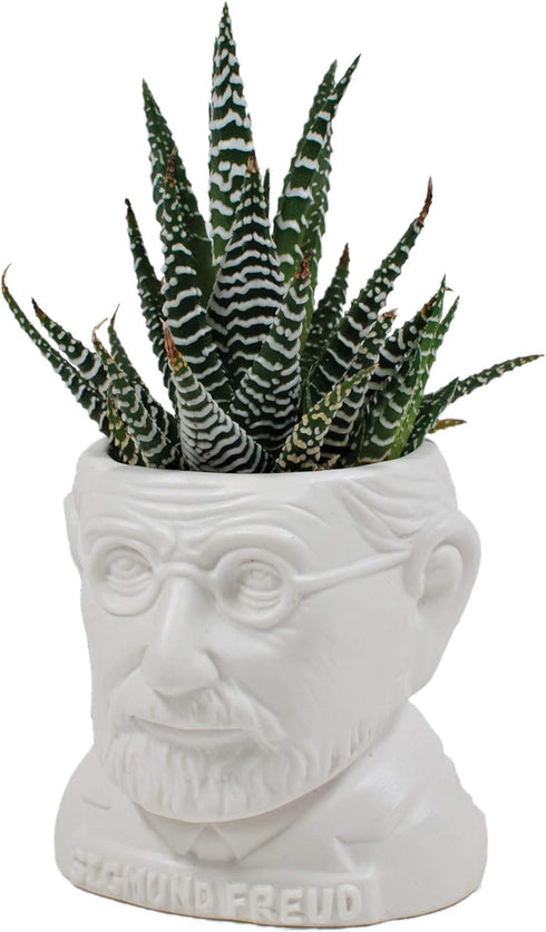 The Unemployed Philosophers Guild Sigmund Freud Bust Ceramic Planter...
