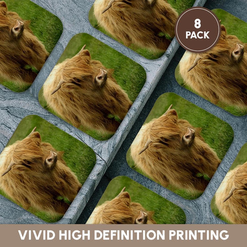 3dRose Scotland, Highland Cow, Farm animal-EU36 CMI0128-Cindy Miller Hopkins-Soft Coasters, Set of 8 (CST_82799_2)...