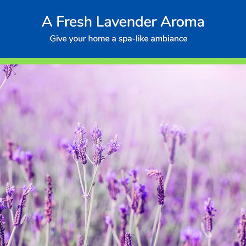 Earth's Care Lavender Oil Pure Steam Distilled 100% Lavender Essential Oil for Diffuser and Aromatherapy...