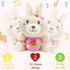 HAPTIME Baby Bunny Musical Toys, Newborn Girl Soft Plush Stuffed Animal, Infant Light Music Tummy Time Toy, 1st Birthday Baby Girl Shower Gift for...