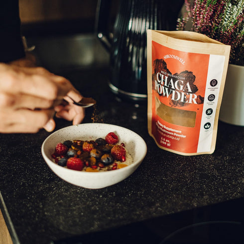 Chaga Mushroom Powder - Wild Harvested Chaga Powder from Estonian Forests. Chaga Mushrooms Powder with Antioxidants for Chaga Tea and Chaga Coffee...
