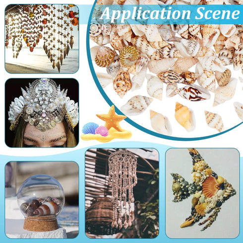 PH PandaHall 1400-1500pcs Tiny Sea Shells 7-12mm Tiny Crushed Shells Miniature Shell NO Hole Seashells Ocean Spiral Seashells for Resin Crafting C...