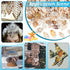 PH PandaHall 1400-1500pcs Tiny Sea Shells 7-12mm Tiny Crushed Shells Miniature Shell NO Hole Seashells Ocean Spiral Seashells for Resin Crafting C...