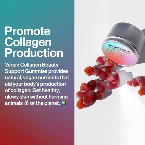 Vegan Beauty Support Gummies Collagen Booster with Biotin, Vitamin C, A, E, Folic Acid, and More - 60 Gummies - Plastic-Free Tin - Made with Natur...
