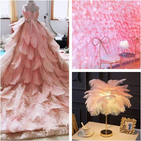 12pcs Natural Light Pink Ostrich Feathers 12-14inch (30-35cm) for Wedding Party Centerpieces?Flower Arrangement and Home Decoration....