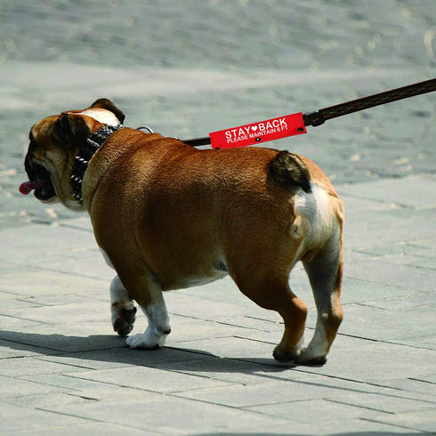 Funny Dog Leash Sleeve Stay Back Please Maintain 6 Ft Dog Leash Wrap Wrap Alert Hanging ID Patch Tag Pet Birthday Gift(Maintain 6 FT-Sleeve)...