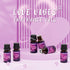 Love Fragrance Oil Gift Set, ARVIDSSON Romance Essential Oils for Candle Making, Romantic Scented Oil - Love Potion, Sweet Heart, Date Night and M...