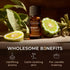Gya Labs Bergamot Essential Oil - 100% Pure and Natural Bergamot Aromatherapy Essential Oil Uplifts Mood for Emotional Balance, Soothes Skin and S...