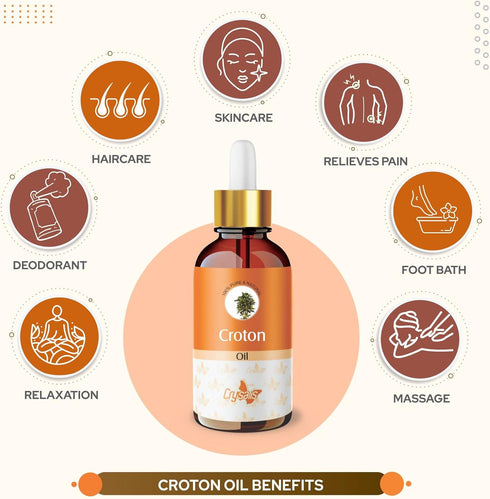 Crysalis Croton (Codiaeum Variegatum) Oil - 0.51 Fl Oz (15ml)...