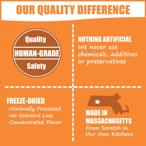 Whole Life Pet Healthy Gut Daily Supplement for Cats – Probiotics with Pumpkin. Helps Digestion + Stool Formation. Mixes in Food or with Water for...