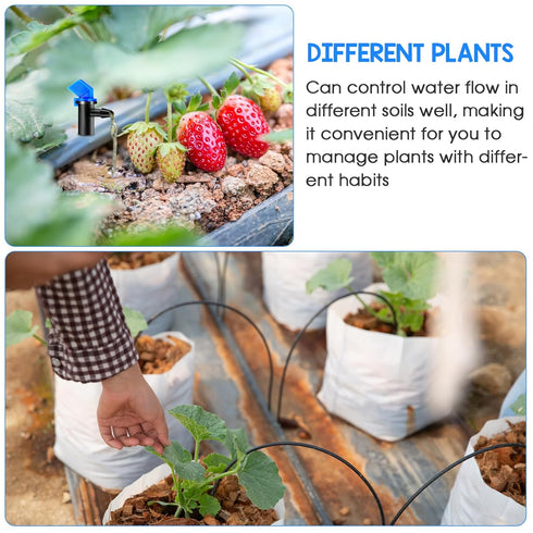 Drip Emitters, 60 Pcs Irrigation Drippers Garden Flag Drip System Parts, 3 Sizes, 1 GPH, 2 GPH, 4 GPH for Home Garden Trees and Shrubs Watering, 3...