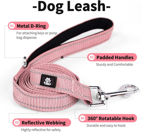 IVY&LANE Reflective Dog Collar and Leash Set,Adjustable Neoprene Padded Dog Collars for Puppy, Breathable Nylon Pet Collar for Small Medium Large ...