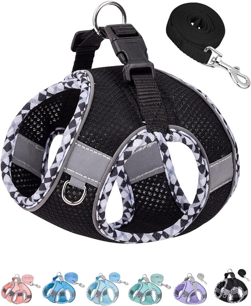 Petank Dog Harness for Small Medium Dogs No Pull, Puppy Harness and Leash Set, Easy Walk Dog Harness for Walking, Running, Training, Small Dog Har...