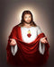 Muyankissu Jesus Christ Sacred Heart of Religious DIY 5D Diamond Art Kits for Adults Full Drill by Number Gifts Body Home Wall Decor 12x16inch …...