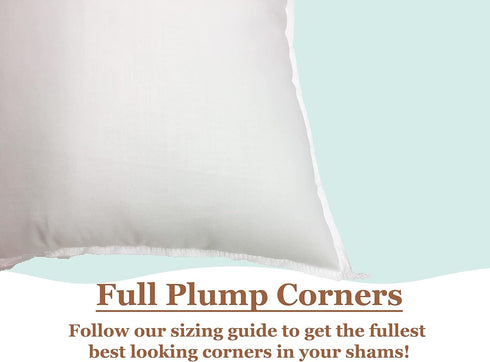 Pillowflex Premium Polyester Throw Pillow Insert - 20x20 - Ultra Soft Small Square Throw Pillow, Couch Sham, Lumbar, Back, Sofa - Machine Washable...