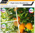 16W Dimmable ST64 Led Bulbs 5000K Daylight White Light Bulbs with 90+ Cri, E26 Base,Clear Glass,1920 lumen,Pack of 4...