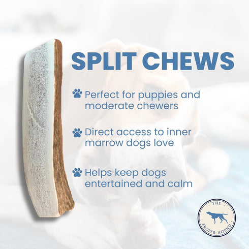 Split Elk Antler Dog Chew - Premium Elk Antlers - Medium - Best for Dogs Under 40 pounds...