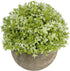 Ogrmar 4PCS Mini Plastic Artificial Plants Grass in Pot/Small Artificial Faux Greenery/Mini Plants Topiary Shrubs Fake Plants for Bathroom, House ...