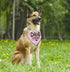 Dog Bandana, Dog Bandana, Dog Scarf Classical Pink Printing, Dog Scarf Accessories, Dog Bandana Pet Scarf, Christmas Birthday Thanksgiving Dog Mom...