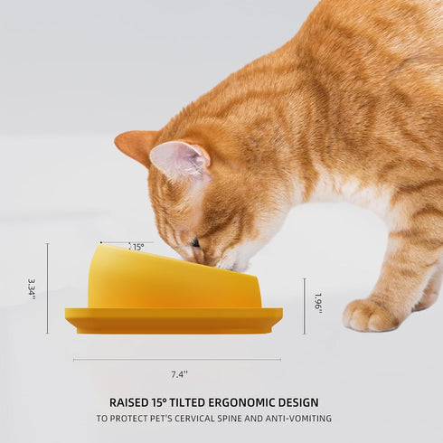 Tilted Cat Food Bowls, Cat Feeding Bowls Whisker Friendly, Raised Cat Bowls for Indoor Cats, Slanted Flat Plastic Feeder Elevated Angled Design, 3...