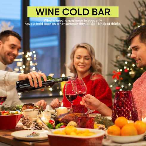 Wine Chiller - Wine Cooler Stick, 3 in 1 Stainless Steel Wine Bottle Chiller with Aerator and Pourer, The Best Holiday Gifts....