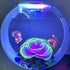 Aquarium Decorations Fish Tank Decor Glowing Coral Ornaments, 1pc Purple Silicone Flower Plants and 10pcs Sea Shells/Stone Glow in The Dark Large ...