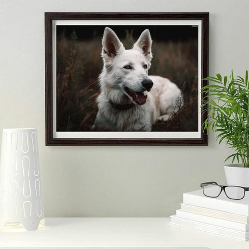 IPISSOI DIY Diamond of Painting Kits White Shepherd Full Drill Round Diamond Embroidery Cross Stitch Mosaic Crystal Rhinestone Arts and Crafts Gem...