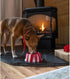 Silipint: Aqua-Fur Silicone Dog Bowl: Peppermint- 18oz Colapsible/Foldable, Lightweight, Feed & Water Dish, Pet Travel...