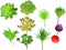 Pack of 10 Artificial Fake Succulent and Plants for Home Kitchen Office Party Garden Landscape Decorative Garden Arrangement Decoration...