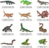 12PCS Mini Amphibians Set,Reptiles Animals Rainforest Wildlife Toy Set Lizard,Tortoise,Snake,Iguana,Tree Frog,Crocodile,Chameleon,Party Favor for ...