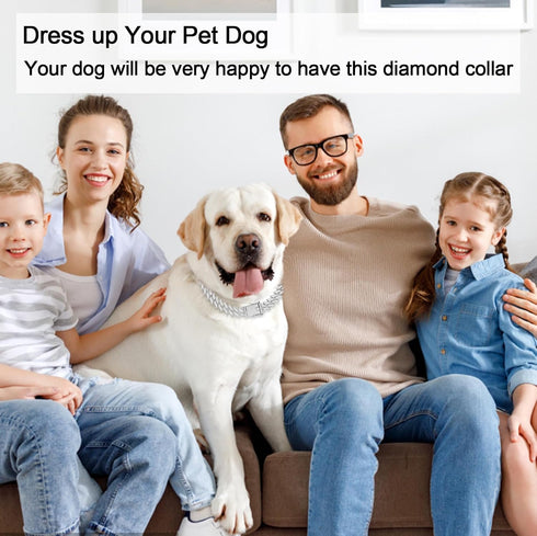 Dog Chain Diamond Cuban Collars Dog Training with Design Secure Buckle, Pet Crystal Necklace Accessories for Small Medium Large Dogs Cats...