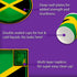 Jamaican Flag Jamaica Birthday Party Supplies Set Plates Napkins Cups Tableware Kit for 16...