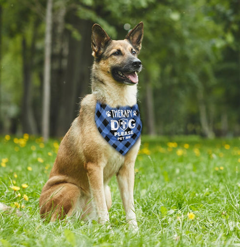 Dog Bandana, Therapy Dog Please Pet Me with Hearts Dog Bandana, Dog Scarf Classical Plaid Printing, Dog Scarf Accessories, Dog Bandana Pet Scarf, ...