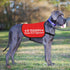 JXGZSO Nervous Do Not Approach Dog Jacket Vest Nervous Rescue Space Dog Vest Dog Walking Slogan Warning Vest (Training approach M)...
