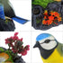 Tipmant Cute Electronic Birds Toys Pets Simulation Realistic Move Chirp Electric Office Home Desk Decor Decoration Kids Birthday Gifts (Blue & Yel...
