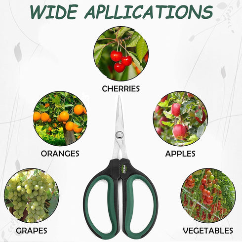Hydroponic 2-Pack Bonsai Scissors and Plant Trimming Shears Set - Stainless Steel Pruning Shears for Indoor Gardening, Succulent Harvest, and Prec...