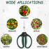 Hydroponic 2-Pack Bonsai Scissors and Plant Trimming Shears Set - Stainless Steel Pruning Shears for Indoor Gardening, Succulent Harvest, and Prec...