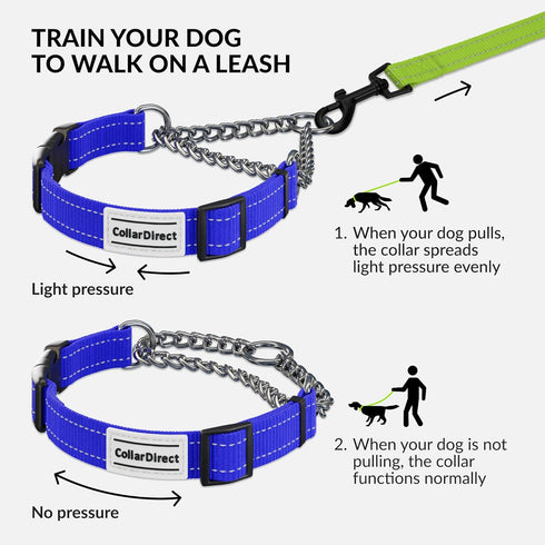 CollarDirect Martingale Dog Collar with Stainless Steel Chain and Quick Release Buckle - Reflective Collar for Large, Medium, Small Dogs - Blue, S...