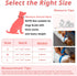 Dog Cat Pearl Collars with Crystal Rhinestone PU Leather Collars Necklace Adjustable Collar Leash Set Rope Dog Chain Cat Black Pearl Pet Collar (S...