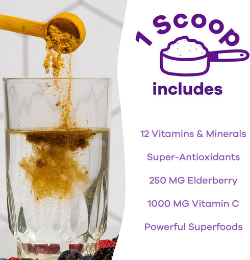 Immune Support Supplement - Immunity Defense Powder Wellness Booster - Vegan Superfood - Elderberry, Turmeric, Vitamin C Powder and B12 Supplement...