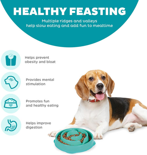 Outward Hound Fun Feeder Slo Bowl, Slow Feeder Dog Bowl, Medium/Mini, Turquoise...