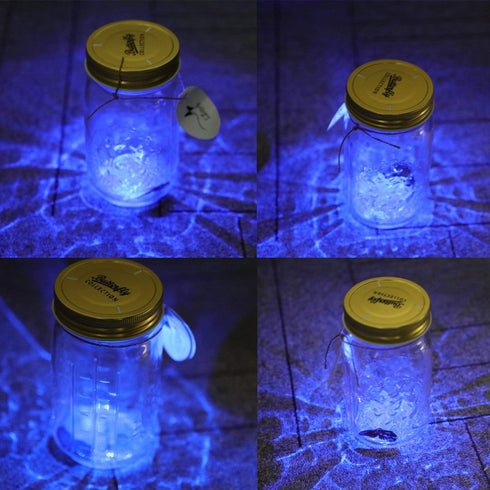 Butterfly in a Jar, Glass Animated Butterfly In A Jar With LED Light Gift Decoration (Blue)...