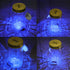 Butterfly in a Jar, Glass Animated Butterfly In A Jar With LED Light Gift Decoration (Blue)...