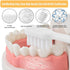 Extra Soft Toothbrushes, Deep Clean, High Density Soft Bristles, Medium, Toothbrushes for Sensitive Gums, Individual Dust-Proof Cover, Eco-Friendl...
