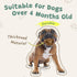 Dog Toy, Treat Dispensing Dog Toys, Dog Enrichment Toys to Keep Them Busy, Interactive Dog Toys Mentally Stimulating, Dog Puzzle Toy, Suitable for...