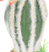 HEEPDD Aquarium Cactus Plant, Artificial Cactus Plant Landscaping Decoration for Fish Tank Reptile Terrarium...