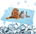 Pet Cooling Mat for Dogs and Cats, Mesh Fabric, 28x22in, Ice Silk Material, Washable, Convenient, Summer Gift...