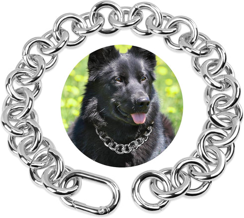 Silver Plated Circle Link Dog Collar - Heavy Duty Chew Proof Chain Collar for Small, Medium & Large Dogs - 21MM Width Light Metal Chain (10") - Do...
