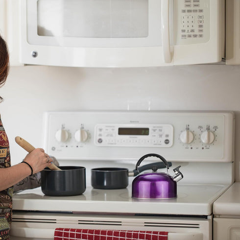 Tea Kettle for Stove Top: Purple Whistling Teapot 3Quart Stainless Steel Teapot Heating Water Container with Handle for Home Gas Stovetop...